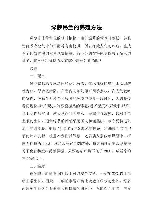 绿萝吊兰的养殖方法