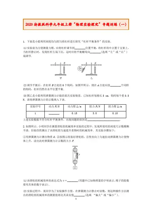 2020浙教版科学九年级上册“物理实验探究”专题训练(一)及答案