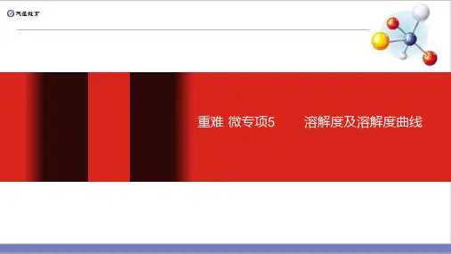 中考化学专题复习PPT溶解度及溶解度曲线精品课件