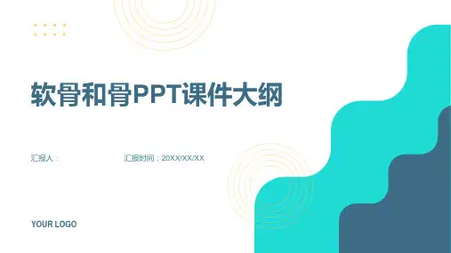 《软骨和骨》课件 