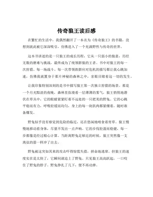 传奇狼王读后感