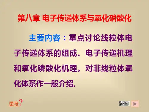 第八章电子传递体系与氧化磷酸化ppt课件