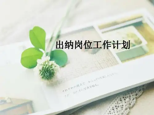出纳岗位工作计划(ppt)