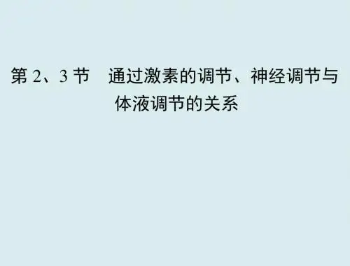 第 2、3 节 通过激素的调节、神经调节与体液调节的关系(复习课件  )