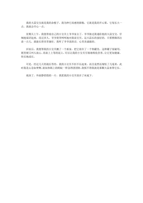 大蒜宝宝成长记