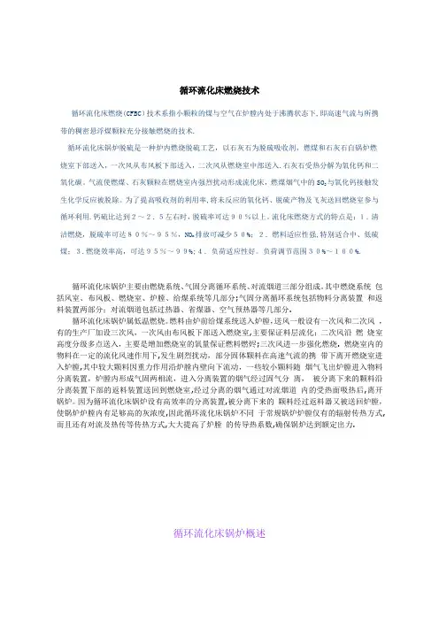 循环流化床技术