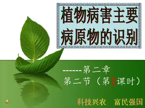 植物病害主要病原物的识别