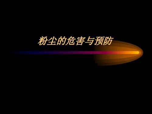 粉尘的危害与预防 PPT课件