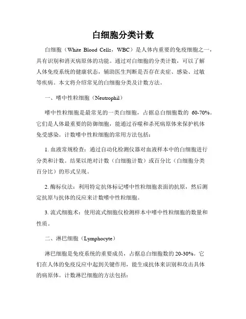 白细胞分类计数