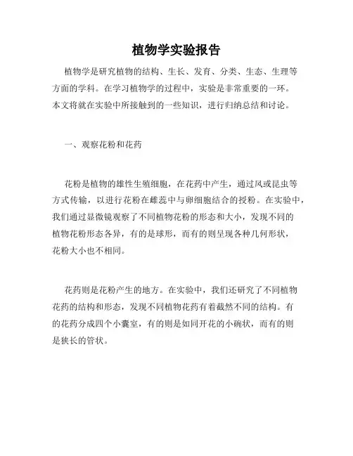 植物学实验报告