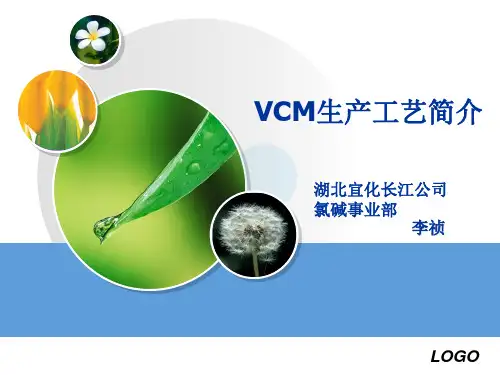 (完整版)VCM生产工艺简介