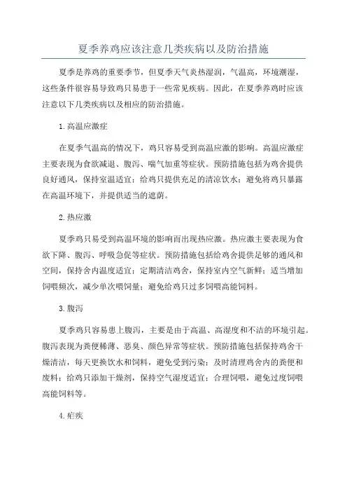 夏季养鸡应该注意几类疾病以及防治措施