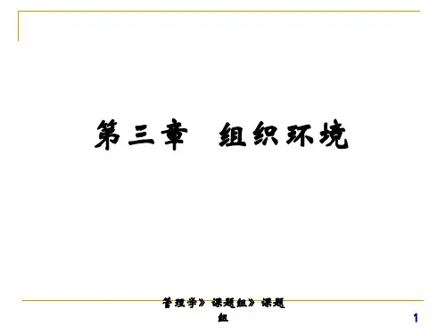 第三章组织环境-57页精品文档