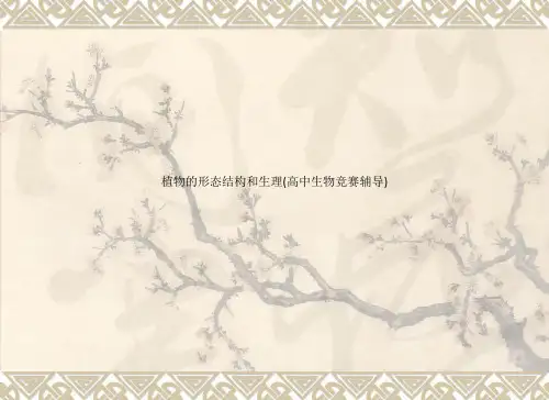 植物的形态结构和生理(高中生物竞赛辅导)