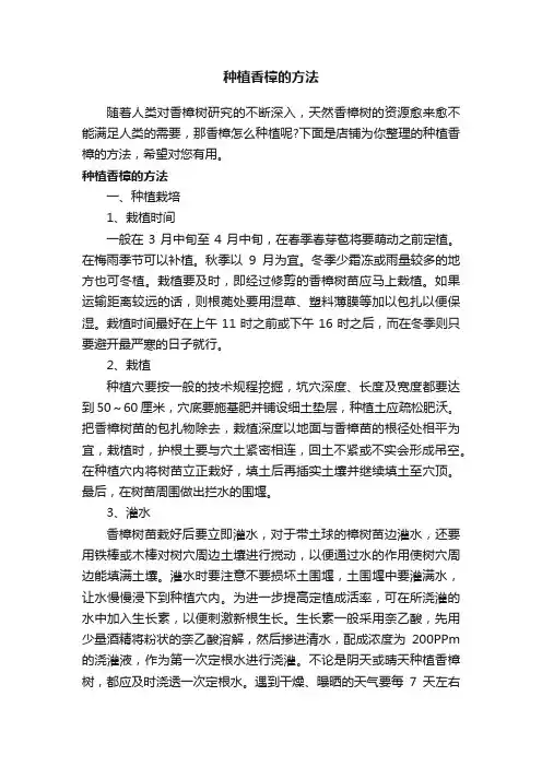 种植香樟的方法
