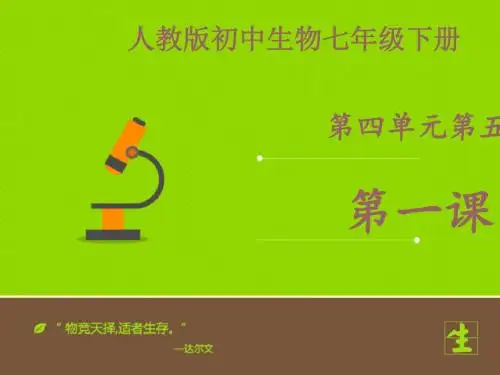 人教版生物七年级下册第四单元第五章：人体内废物的排出(22ppt)