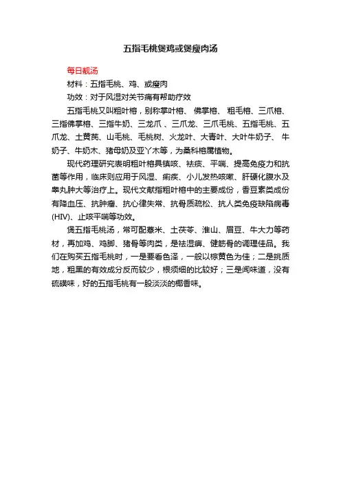 五指毛桃煲鸡或煲瘦肉汤