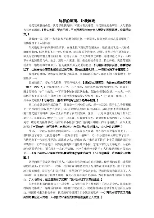 这样的画面,让我流连(6篇)