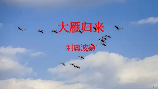 第7课《大雁归来》课件(共28张PPT) 部编版语文八年级下册