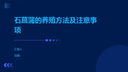 石菖蒲的养殖方法及注意事项