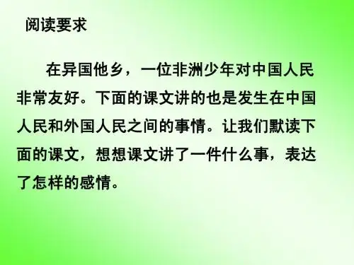中国国际救援队,真棒1