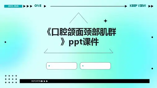 《口腔颌面颈部肌群》课件