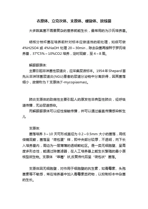 衣原体、立克次体、支原体、螺旋体、放线菌