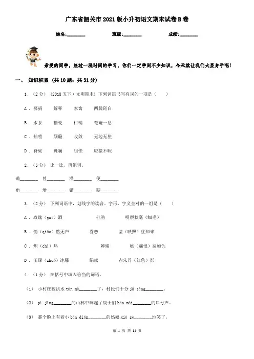 广东省韶关市2021版小升初语文期末试卷B卷