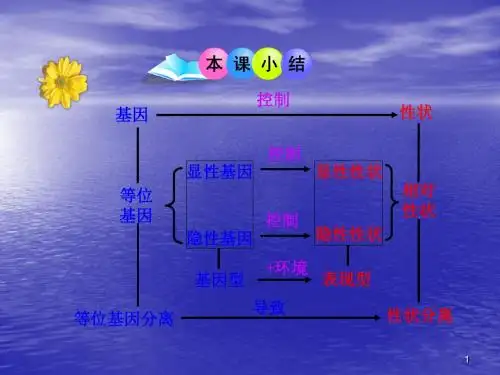 分离定律ppt课件