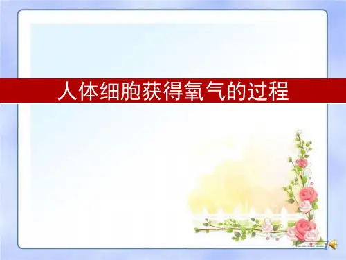 《人体细胞获得氧气的过程》PPT 精选优质课件
