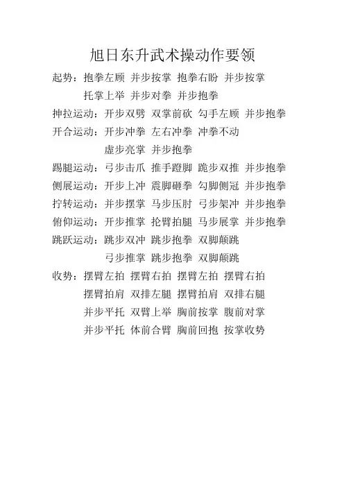 旭日东升武术操动作要领