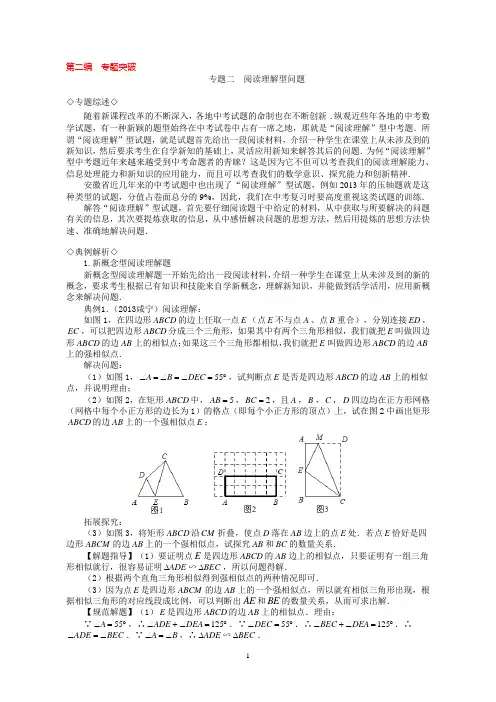 1.专题突破“阅读理解题”--丁浩勇