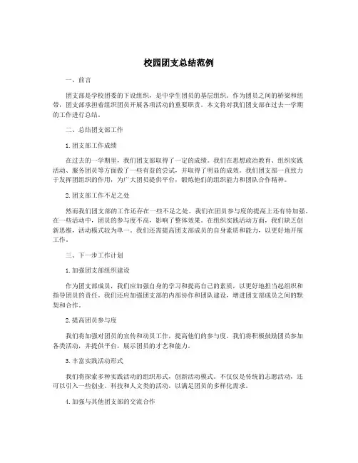 校园团支总结范例