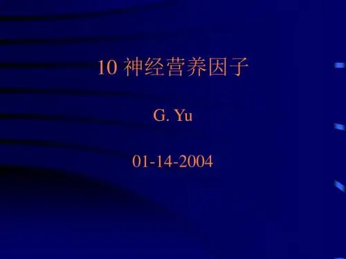 神经营养因子PPT课件