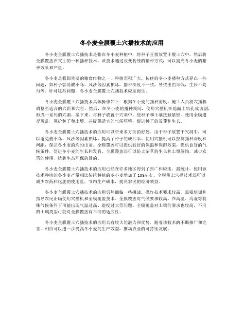 冬小麦全膜覆土穴播技术的应用