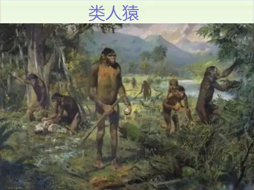 五年级下册公开课-2 生物进化的秘密冀教版 (29张)课件下载