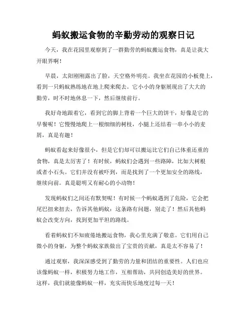 小学三年级作文蚂蚁搬运食物的辛勤劳动的观察日记