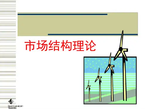 微观经济学 市场结构理论