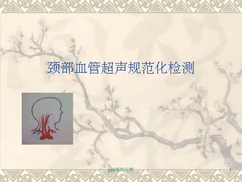 颈部血管超声规范ppt课件
