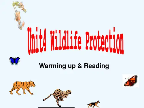 高中英语 unit4 wildlife protection课件 新人教版必修2
