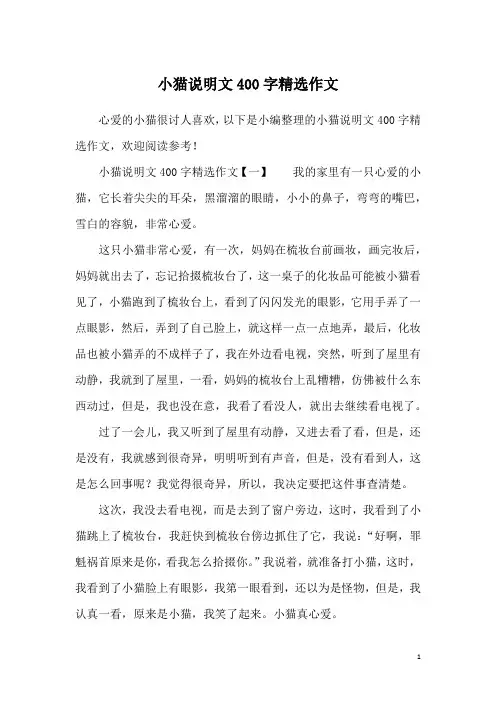 小猫说明文400字精选作文