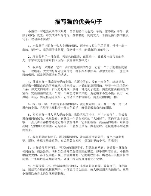 描写猫的优美句子