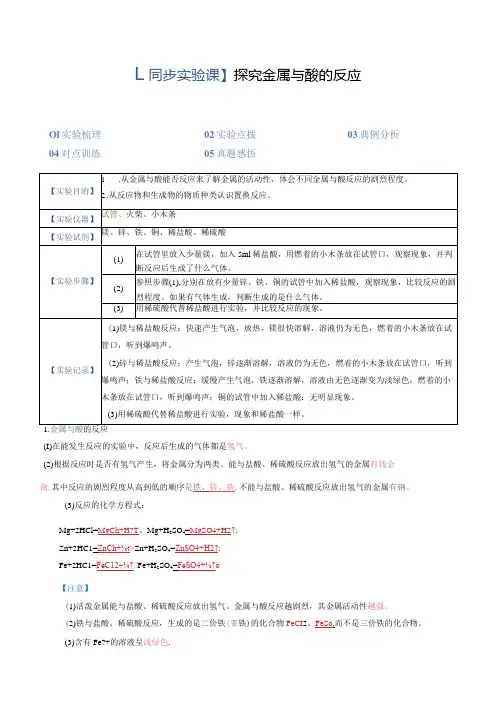 实验01探究金属与酸的反应