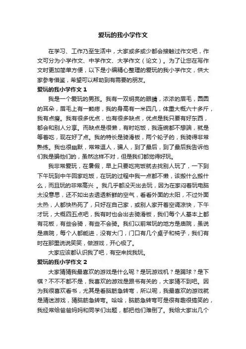 爱玩的我小学作文