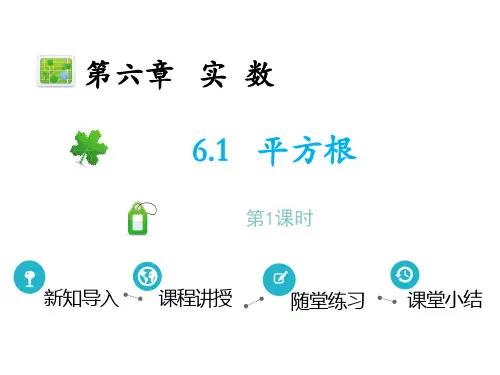 平方根 第1课时 课件 2022—2023学年人教版数学七年级下 