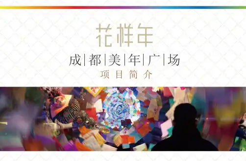 成都美年广场项目简介