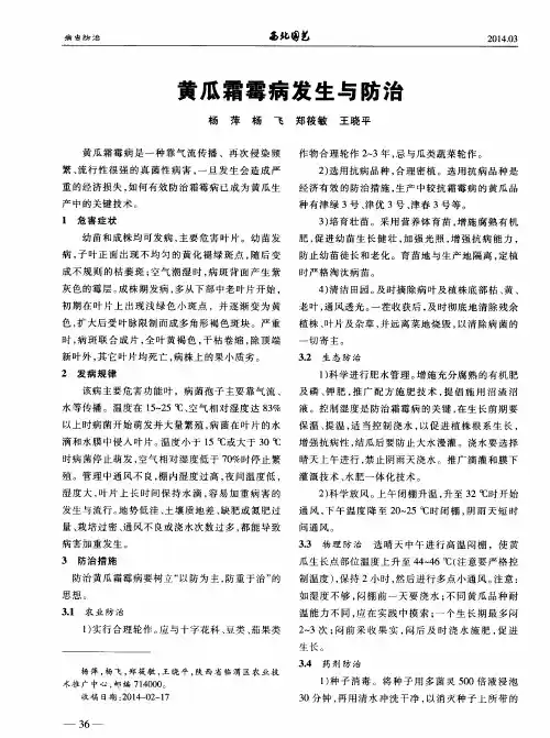 黄瓜霜霉病发生与防治