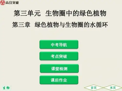 2019中考生物总复习 第三单元 生物圈中的绿色植物 第三章   绿色植物与生物圈的水循环