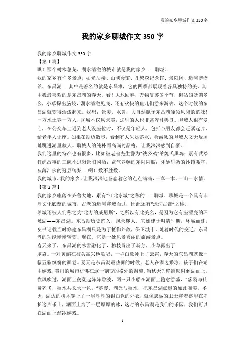 初中作文-我的家乡聊城作文350字