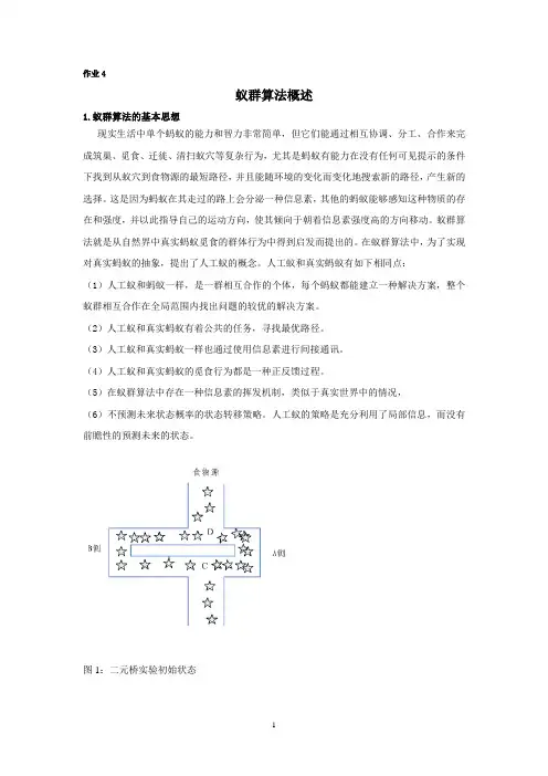 蚁群算法概述